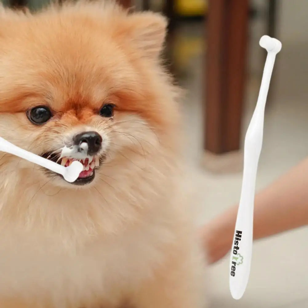 Soft-Bristled Dog & Cat Toothbrush