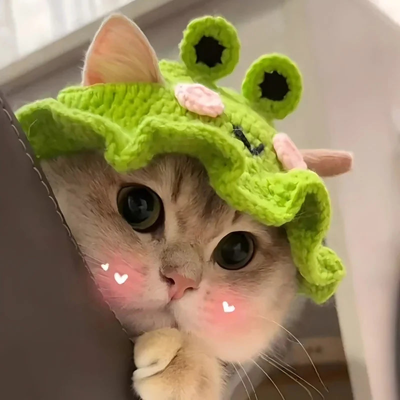 Pet Hat – Handmade Costume Accessory