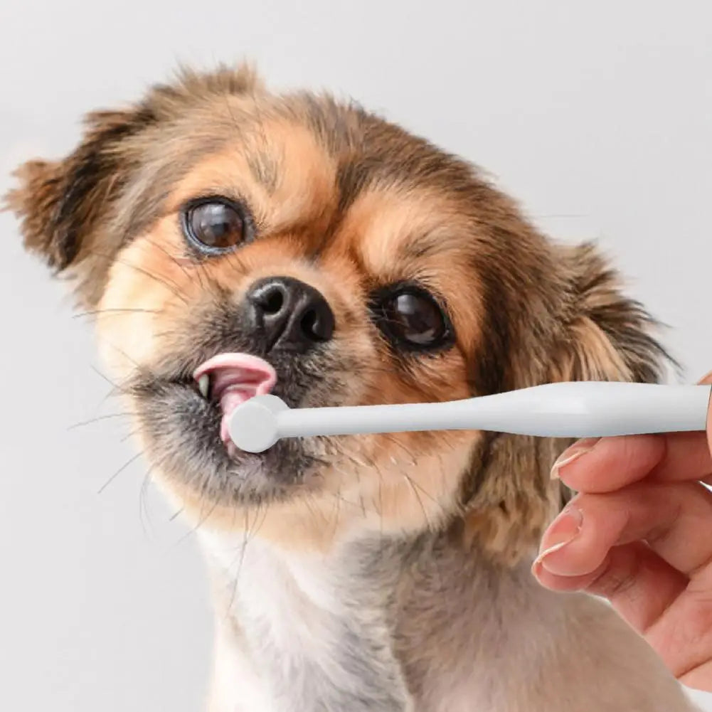 Soft-Bristled Dog & Cat Toothbrush
