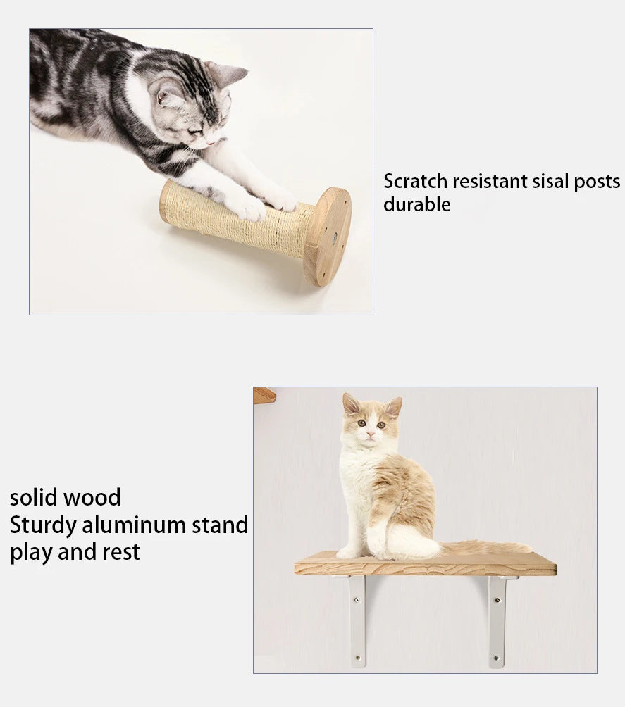 Wall-Mounted Cat Climbing Shelves & Tree