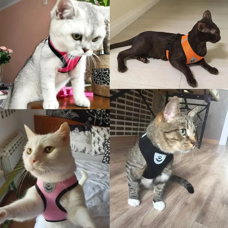 Cat Harness – Safe & Adjustable Walking Vest