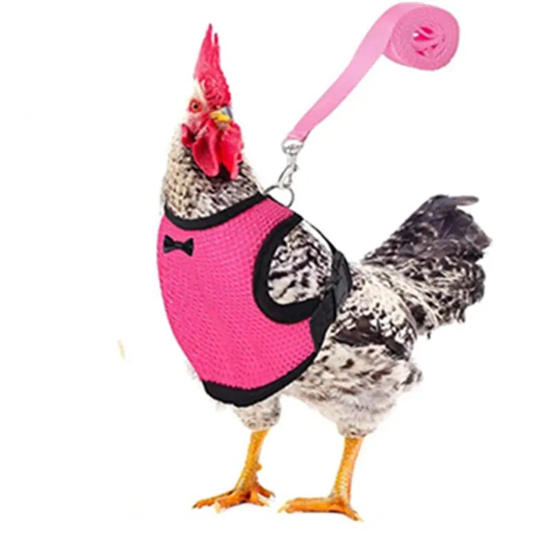 Pet Adjustable Harness & Leash – For Chickens, Ducks, Puppies & Small Pets