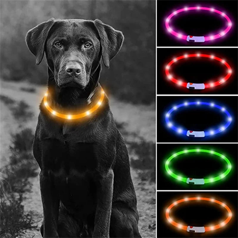 LED Light-Up Dog Collar - Keep Your Pet Safe & Visible at Night