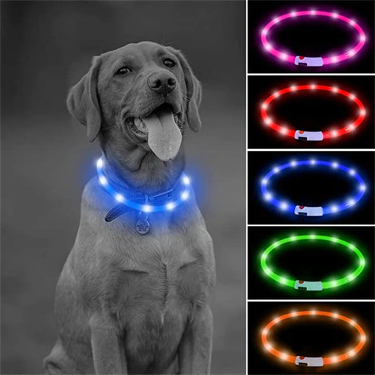 LED Light-Up Dog Collar - Keep Your Pet Safe & Visible at Night