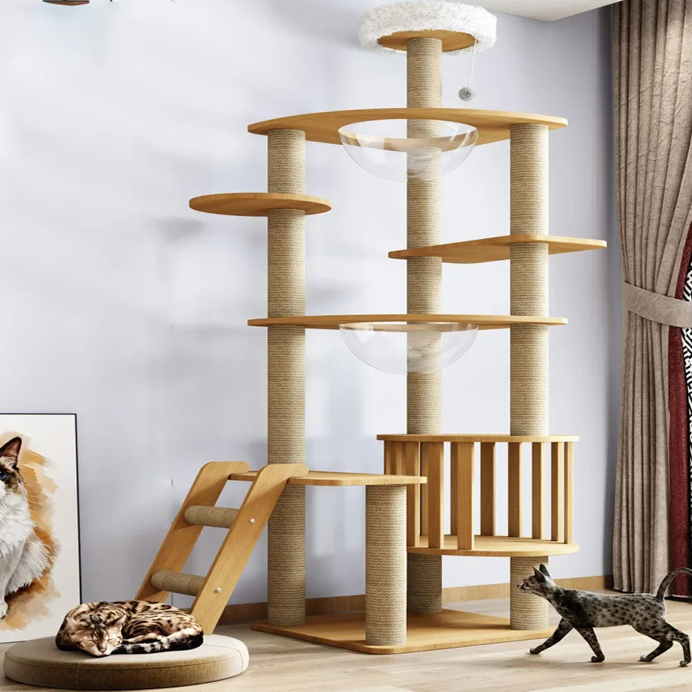 Cat Climbing Frame & Tree Tower