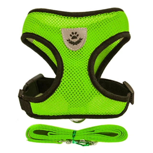 Cat Harness – Safe & Adjustable Walking Vest