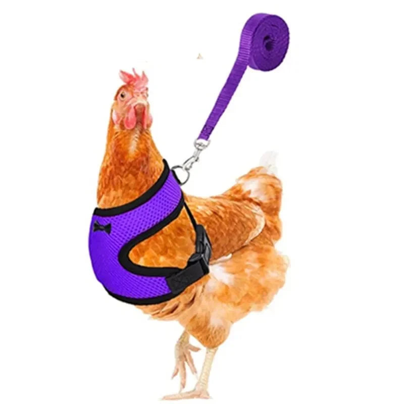 Pet Adjustable Harness & Leash – For Chickens, Ducks, Puppies & Small Pets
