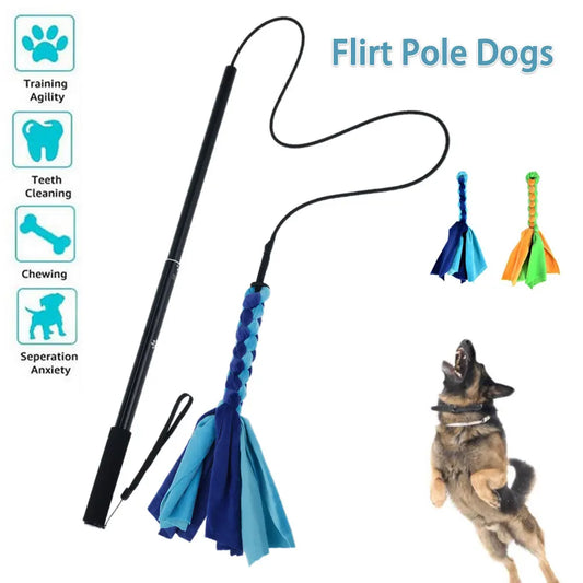 Dog Flirt Pole & Lure Stick Interactive Training Toy
