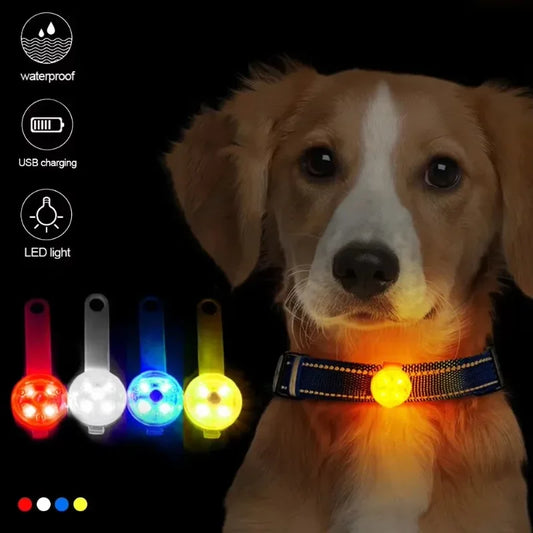 LED Safety Light for Collar