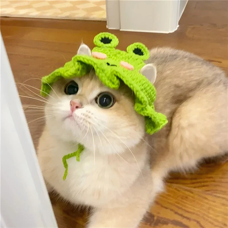 Pet Hat – Handmade Costume Accessory