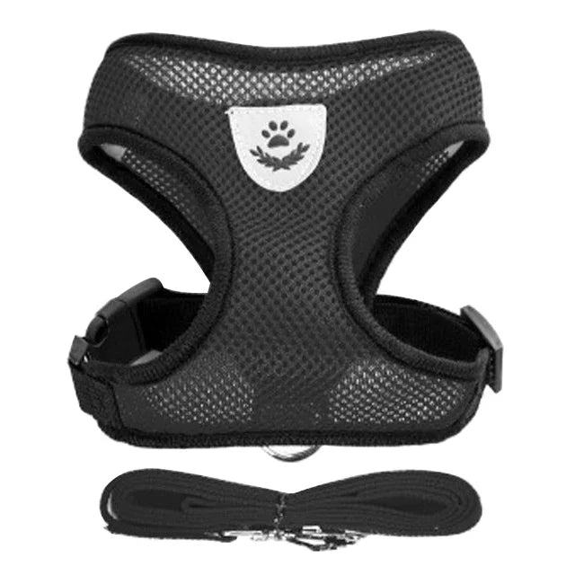 Cat Harness – Safe & Adjustable Walking Vest