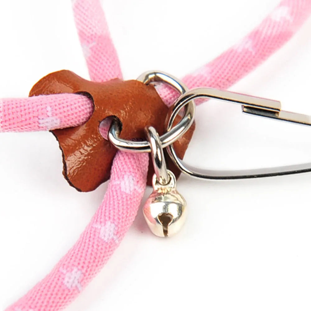 Small Animal Leash & Harness – Adjustable for Guinea Pigs, Hamsters & Ferrets
