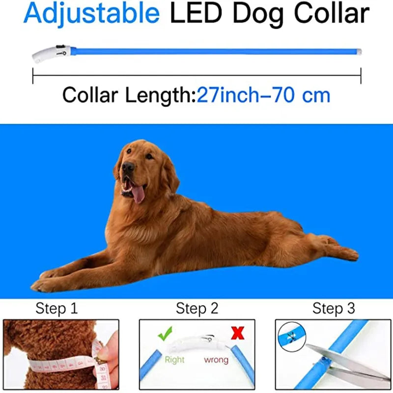 LED Light-Up Dog Collar - Keep Your Pet Safe & Visible at Night
