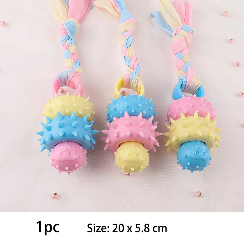 Pet Dog Toys – Chew & Play Pack