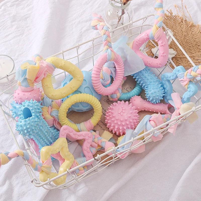 Pet Dog Toys – Chew & Play Pack