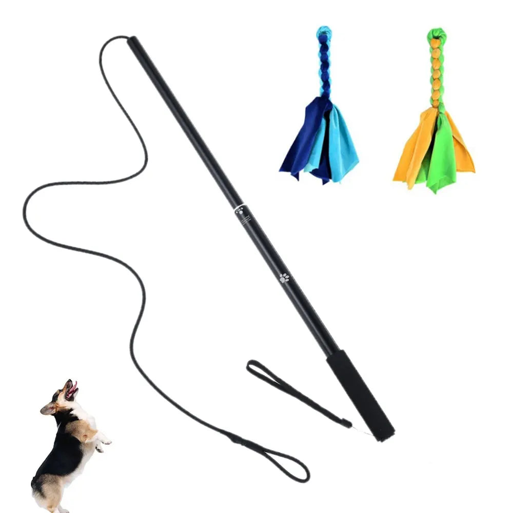 Dog Flirt Pole & Lure Stick Interactive Training Toy