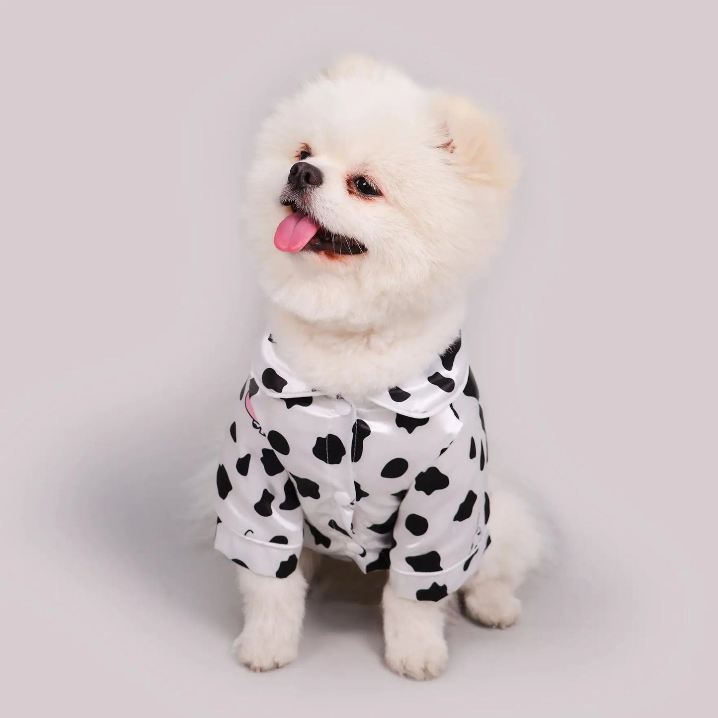 Pet Dog T-Shirt – Casual Clothes for Small Dogs