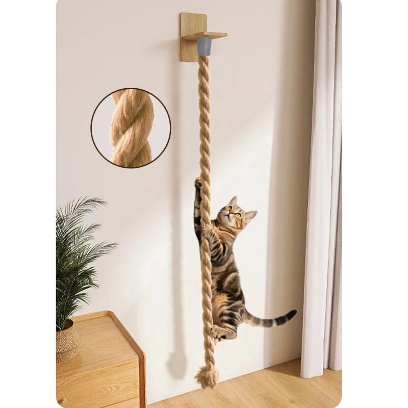 Cat Climbing Rope Tower