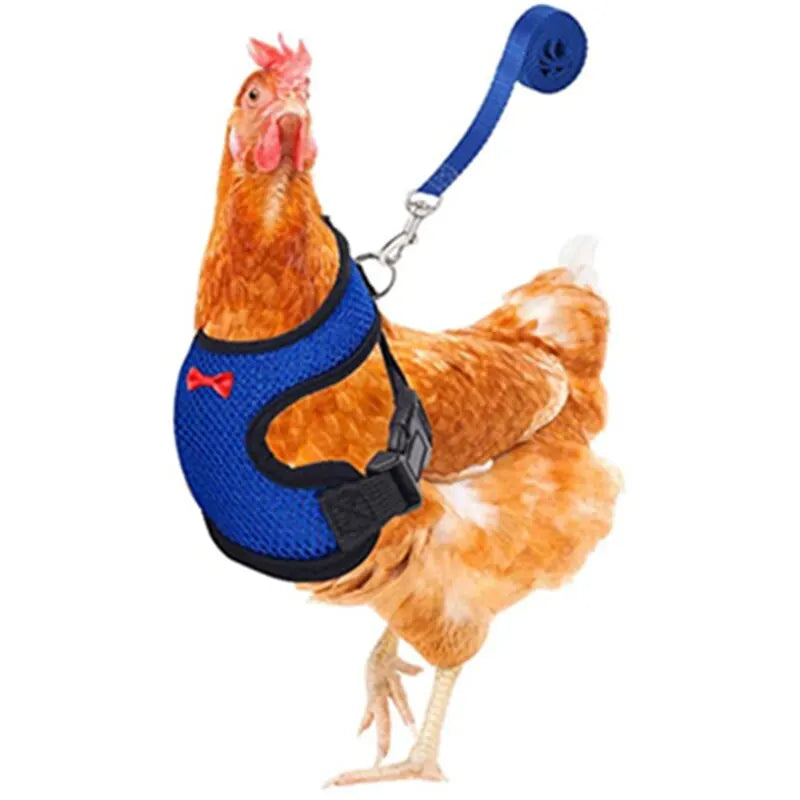 Pet Adjustable Harness & Leash – For Chickens, Ducks, Puppies & Small Pets
