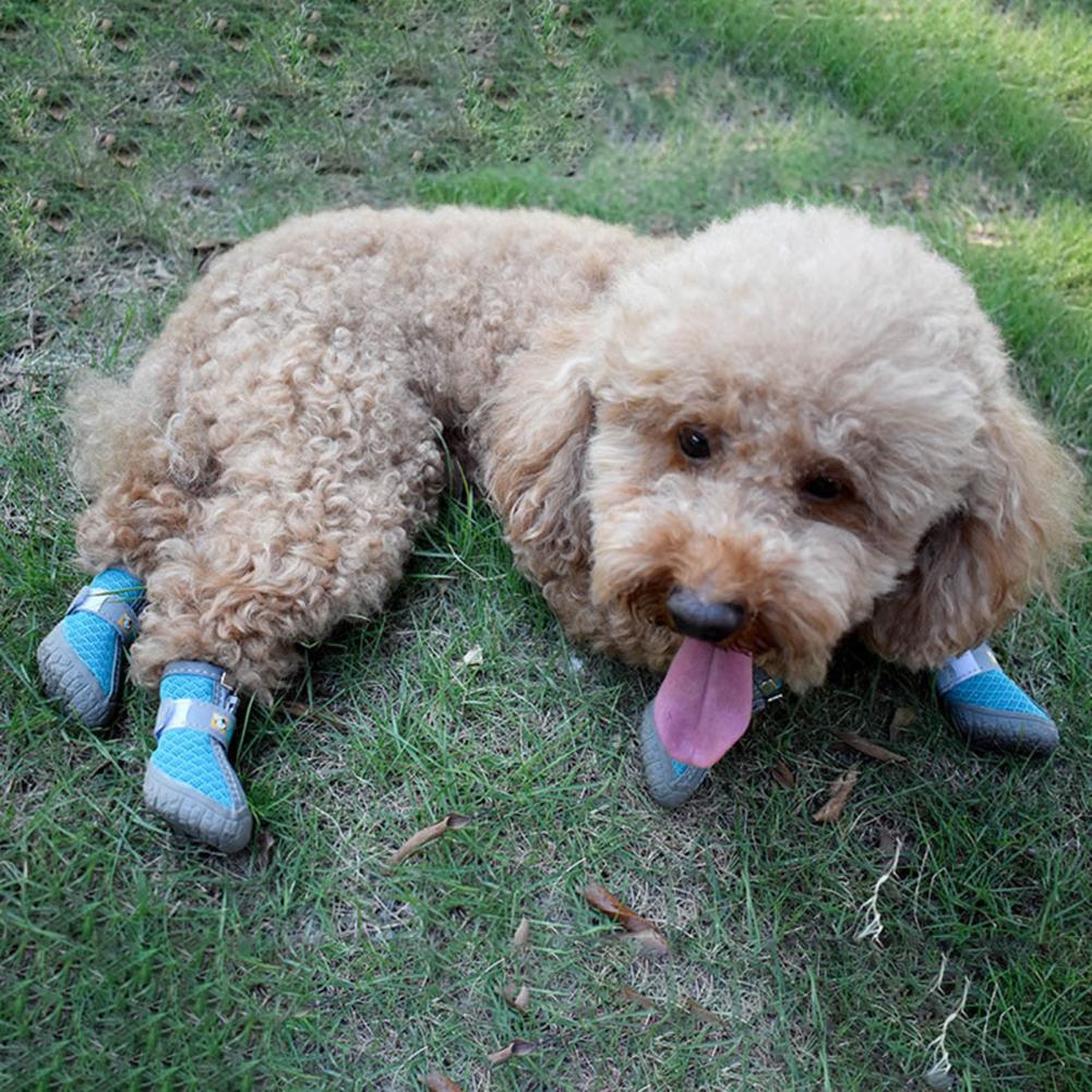Dog Shoes – 4pcs Waterproof, Breathable & Non-Slip Pet Sneakers