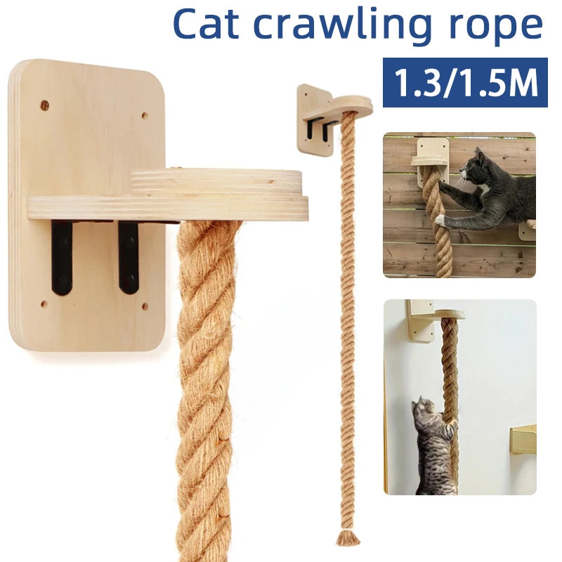 Cat Climbing Rope Tower