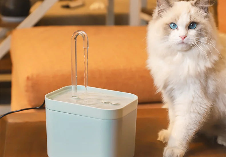 1.5L Pet Water Fountain