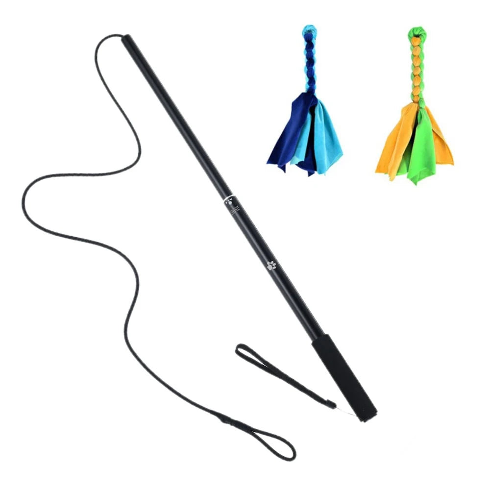 Dog Flirt Pole & Lure Stick Interactive Training Toy