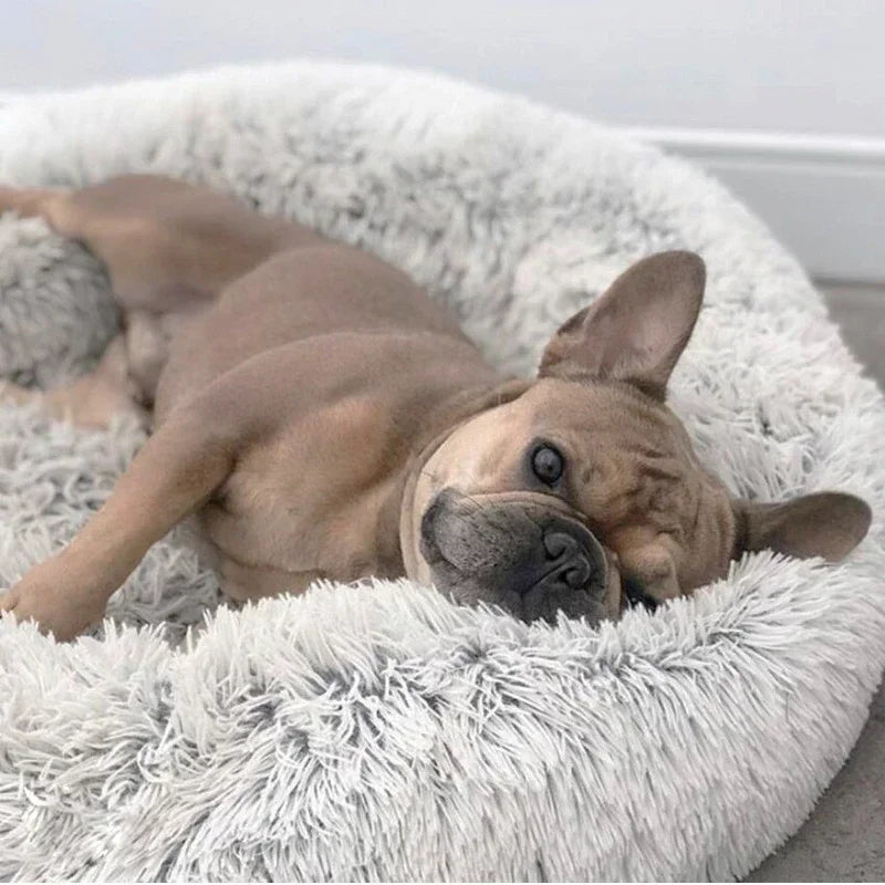 Classic Calming Donut Bed