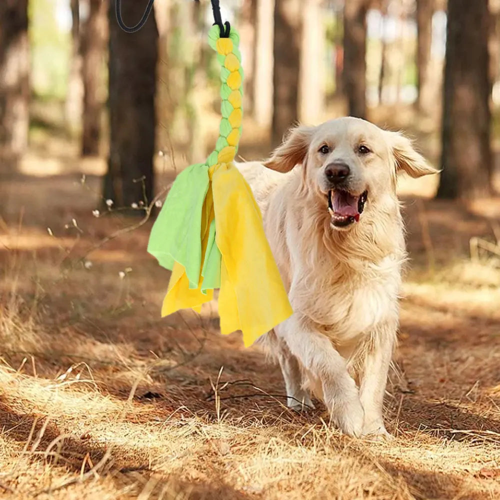 Dog Flirt Pole & Lure Stick Interactive Training Toy