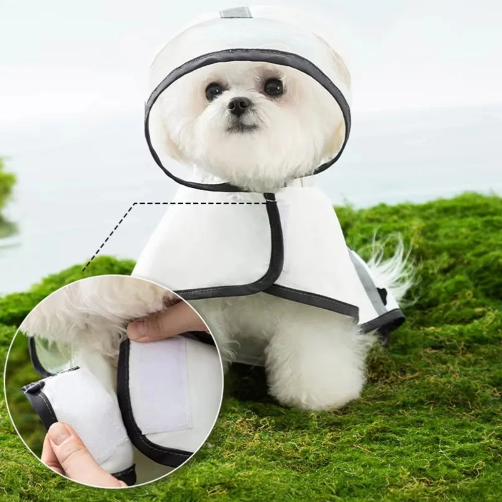 Cartoon Dog Raincoat – Waterproof & Reflective