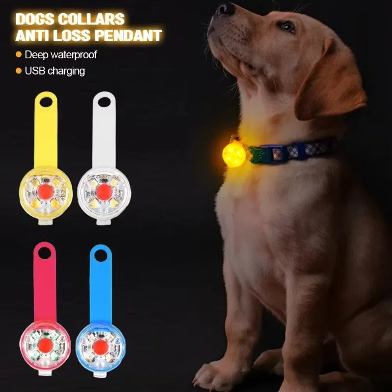 LED Safety Light for Collar