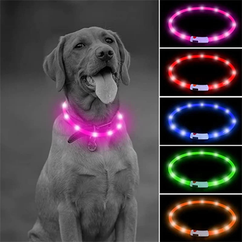 LED Light-Up Dog Collar - Keep Your Pet Safe & Visible at Night