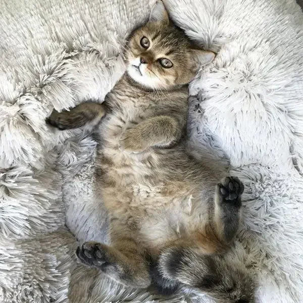 Classic Calming Donut Bed